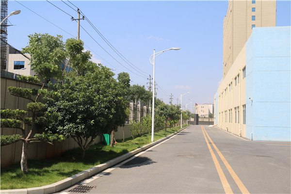 公司环境