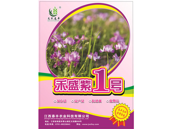 禾盛紫1号