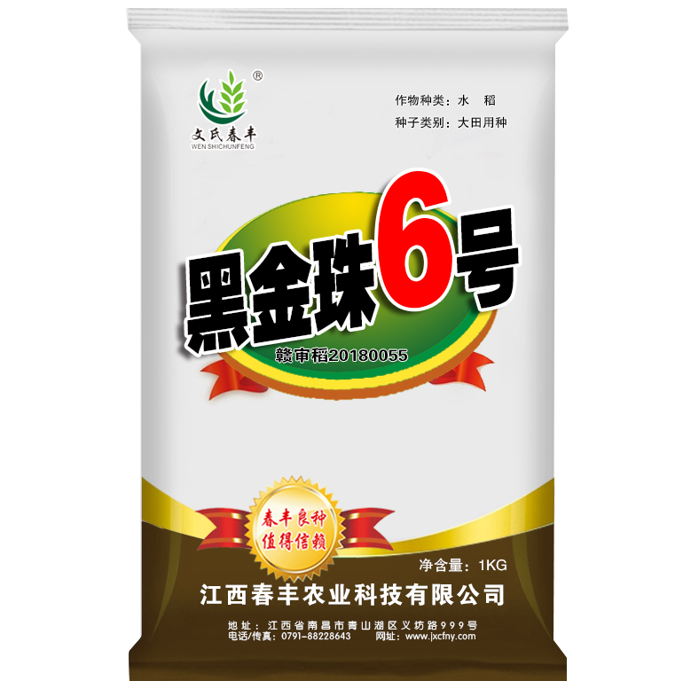 黑金珠6号